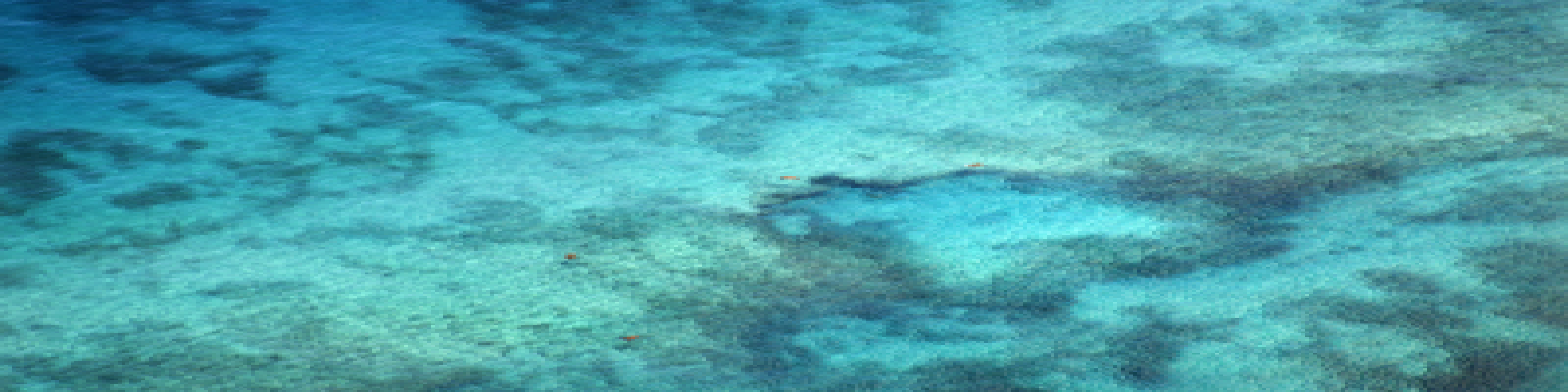 राजेन्द्र राव की कहानी- थप्पड़